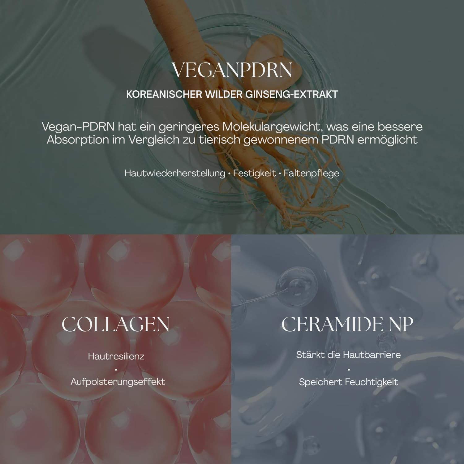 VT Cosmetics PDRN Essence Stick Balm 9,5 g K Beauty Hautpflege für strahlende Haut