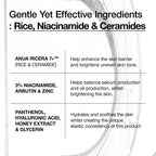 Anua 7 Rice Ceramide Hydrating Barrier Serum 50ml K Beauty Hautpflege für strahlende Haut