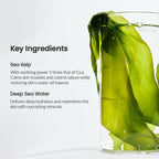 Biodance Refreshing Sea Kelp Real Deep Mask 34g x 4St. K Beauty Hautpflege für strahlende Haut