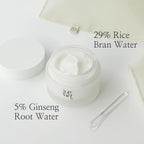 Beauty of Joseon Dynasty Cream 50 ml K Beauty Hautpflege für strahlende Haut
