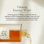 Beauty of Joseon Ginseng Essence Water 150 ml K Beauty Hautpflege für strahlende Haut
