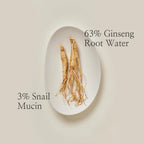 Beauty of Joseon Revive Serum Ginseng + Snail Mucin 30ml K Beauty Hautpflege für strahlende Haut