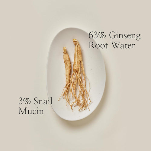 Beauty of Joseon Revive Serum Ginseng + Snail Mucin 30ml K Beauty Hautpflege für strahlende Haut