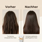 Elizavecca Cer-100 Collagen Ceramide Coating Protein Treatment 100ml K Beauty Hautpflege für strahlende Haut
