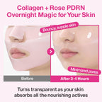 Numbuzin No.2 Rose PDRN Overnight Collagen Mask Set K Beauty Hautpflege für strahlende Haut