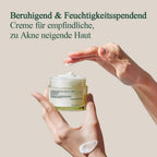 Pyunkang Yul Calming Moisture Barrier Cream 50ml K Beauty Hautpflege für strahlende Haut