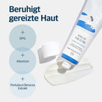 Round Lab Birch Juice Moisturizing Sun Cream SPF50+ PA++++ K Beauty Hautpflege für strahlende Haut