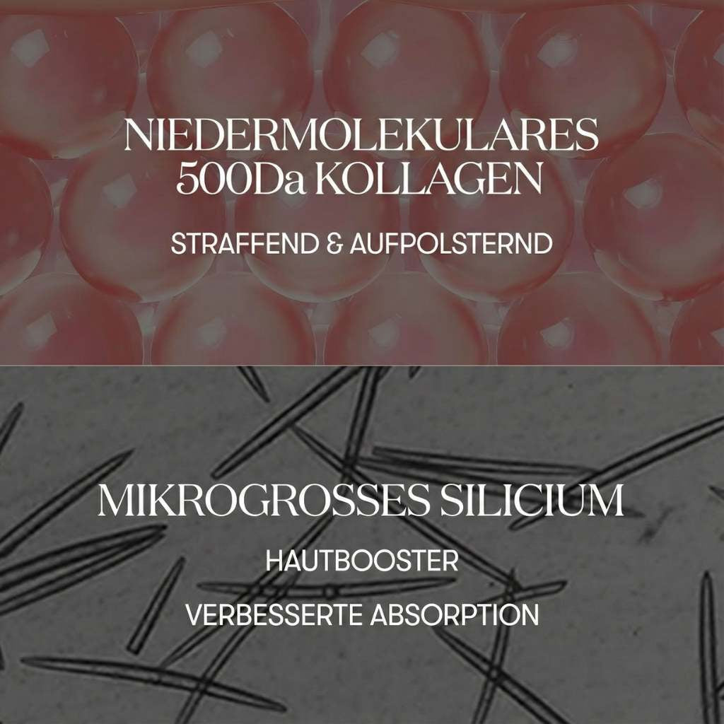 VT Cosmetics Collagen Reedle Shot 700 30 ml K Beauty Hautpflege für strahlende Haut
