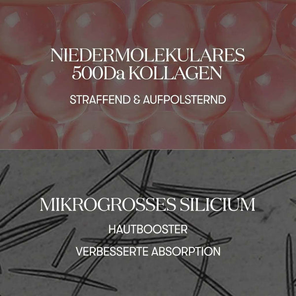 VT Cosmetics Collagen Reedle Shot 700 30 ml K Beauty Hautpflege für strahlende Haut