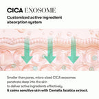 VT Cosmetics PDRN Cica Exosome Firming Ampoule 30 ml K Beauty Hautpflege für strahlende Haut